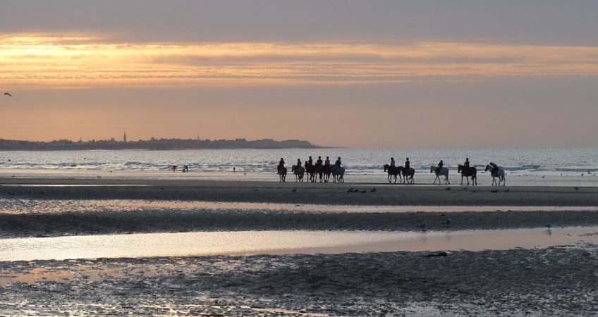 caballos en sanlucar de barrameda