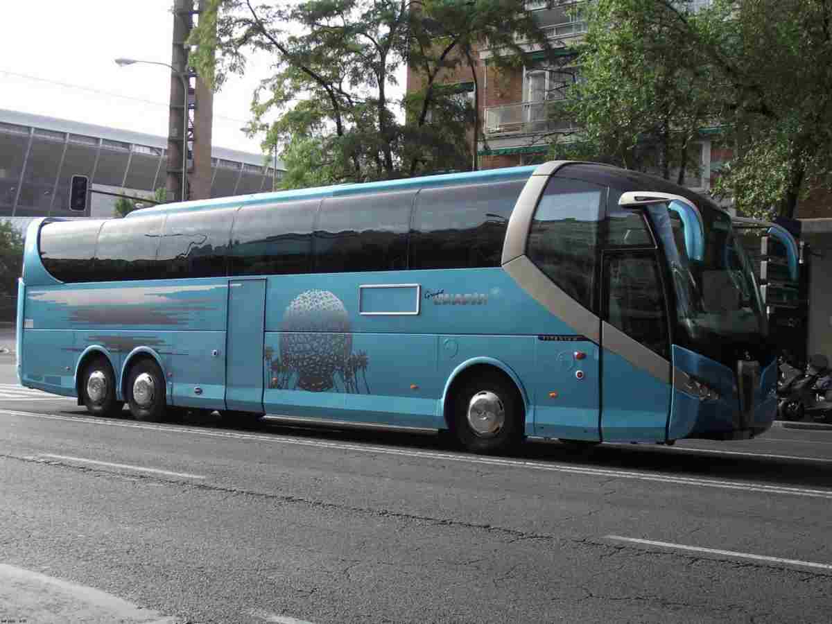 Coach transport, the mobility of the future